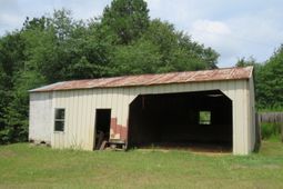 173 Bird Dog Road photo 4