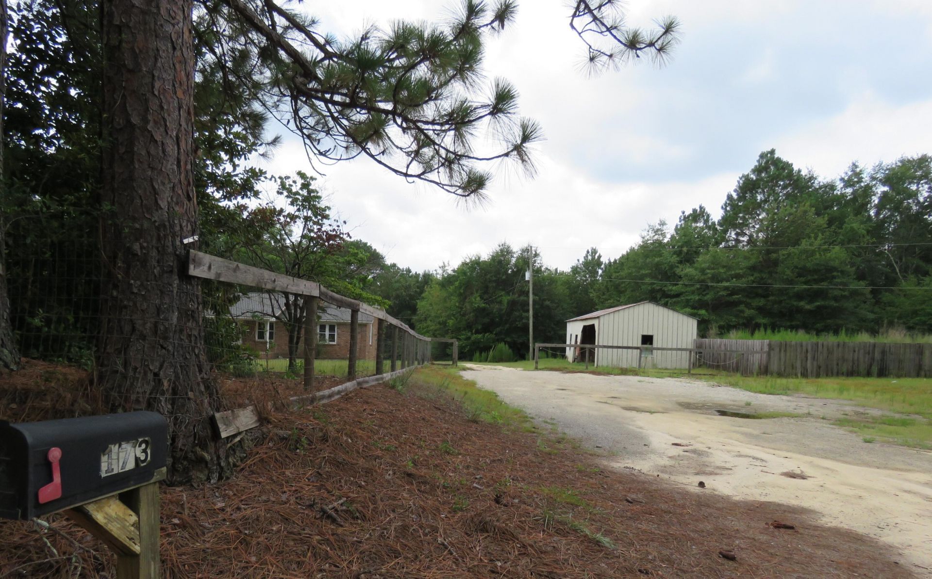 173 Bird Dog Road Photo 4