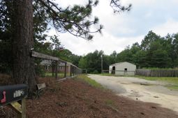 173 Bird Dog Road photo 4