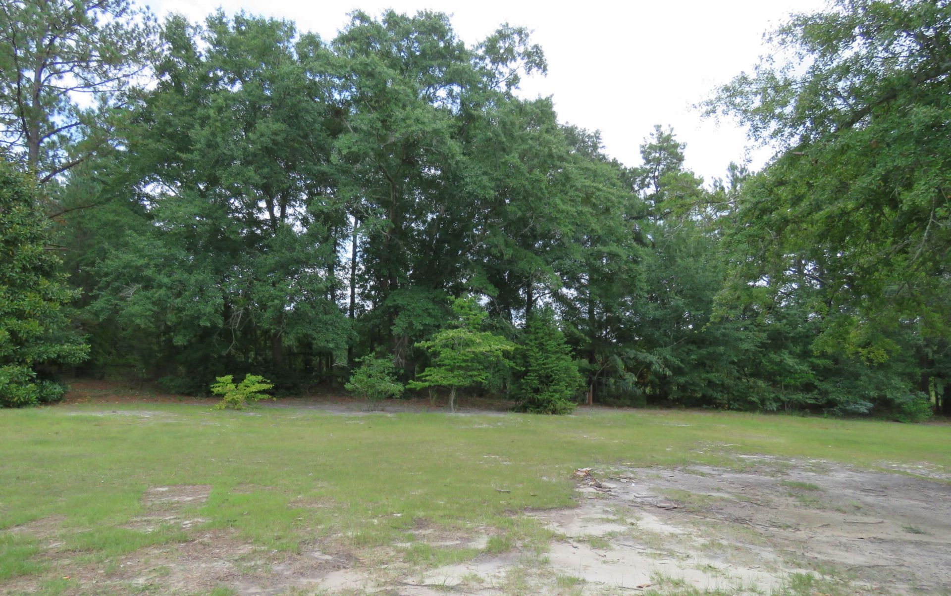 173 Bird Dog Road Photo 5