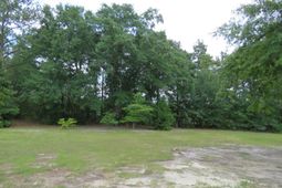 173 Bird Dog Road photo 4