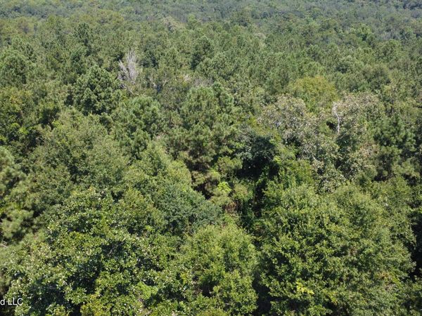 31052 Pearson Cemetary Road, Carriere, MS 39426