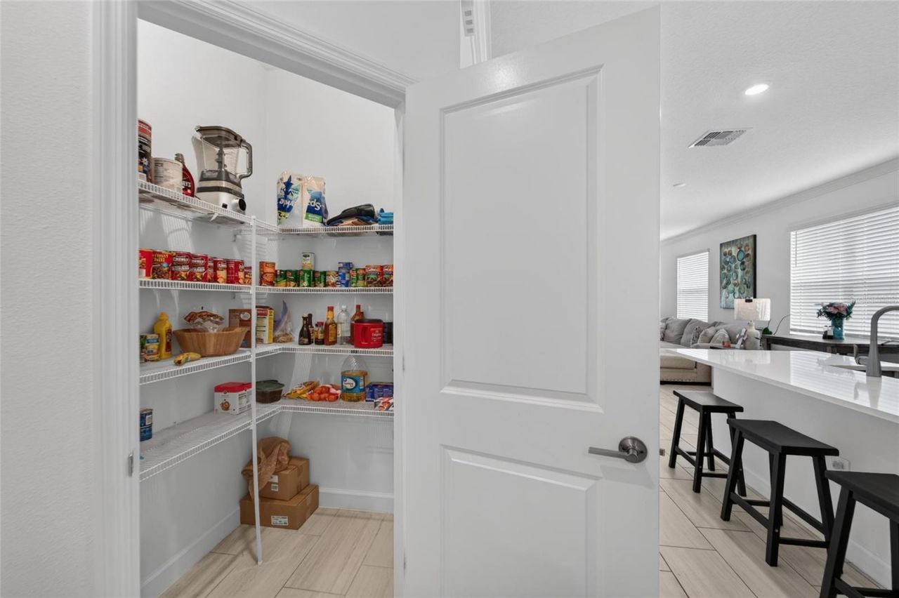 12569 Lily Quartz Loop, Parrish, FL 34219 Photo