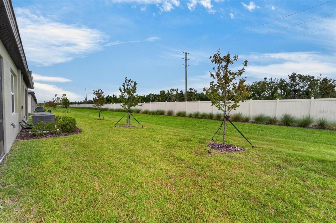 12569 Lily Quartz Loop, Parrish, FL 34219 Photo