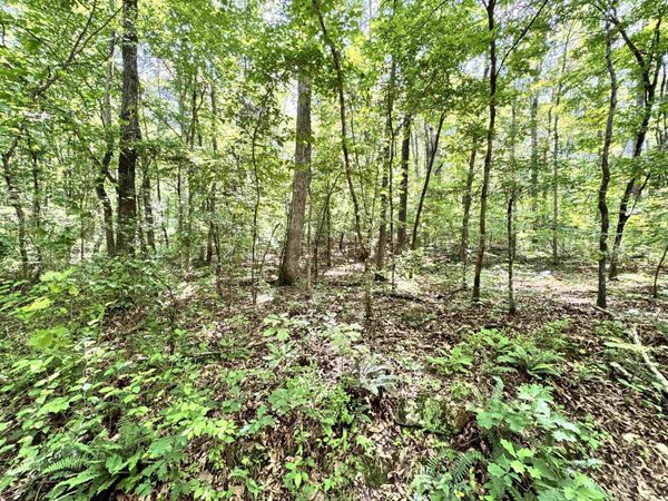 00 Red River Road , Fox, AR 72051