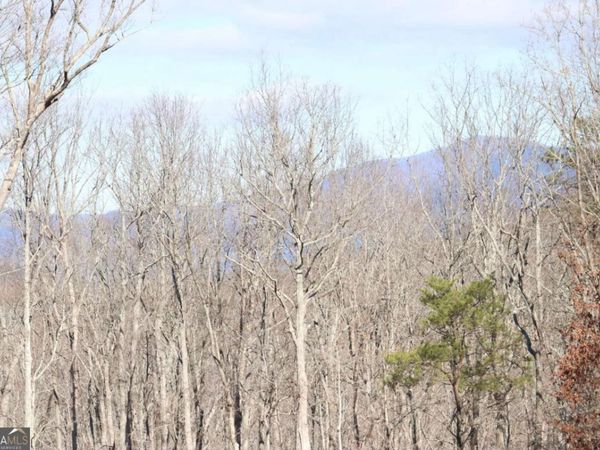 179 Trailwood Drive, Ellijay, GA 30536