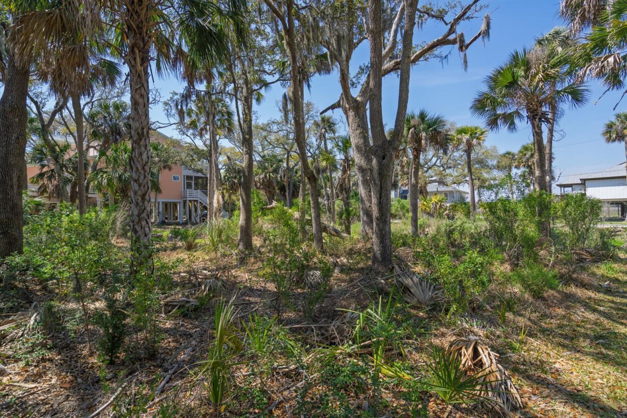 307 Jungle Road Photo 7