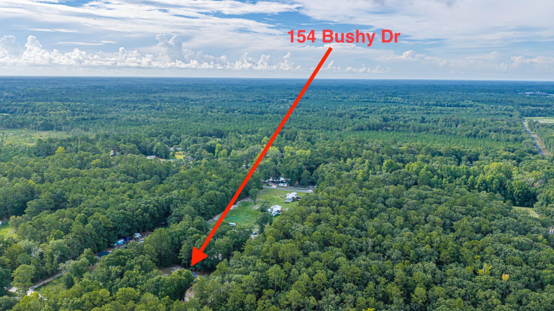 154 Bushy Drive Photo 97