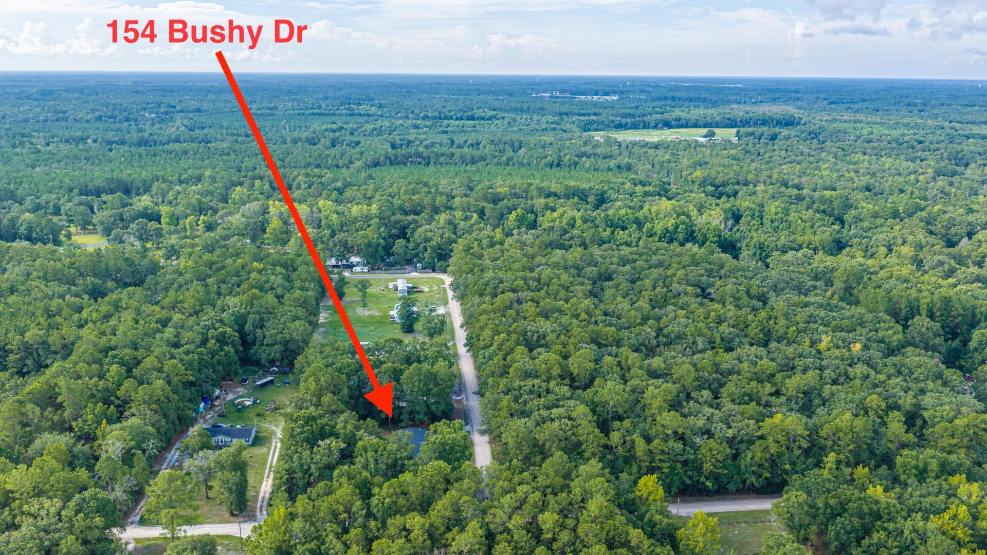 154 Bushy Drive Photo 99