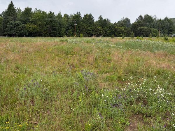825 174th Avenue NE, Ham Lake, MN 55304