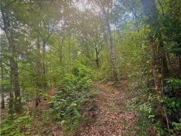 TBD 21 Acres HWY 40 Highway, Franklinton, LA 70438