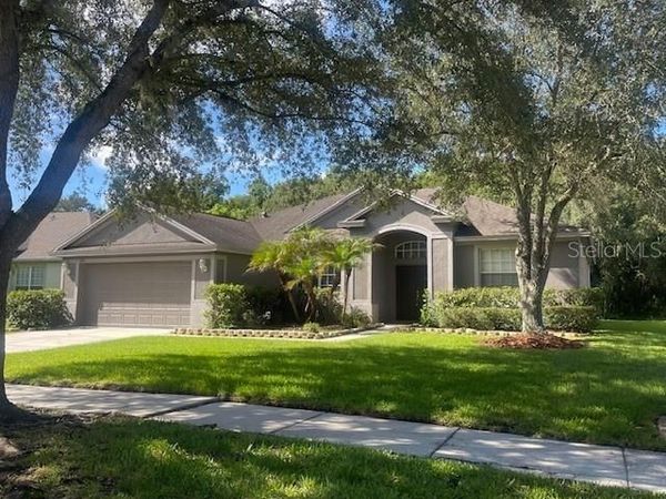 8343 TORRINGTON AVENUE , TAMPA, FL 33647
