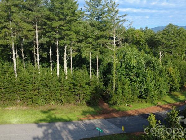 TBD Peninsula Reserve Drive , Nebo, NC 28761