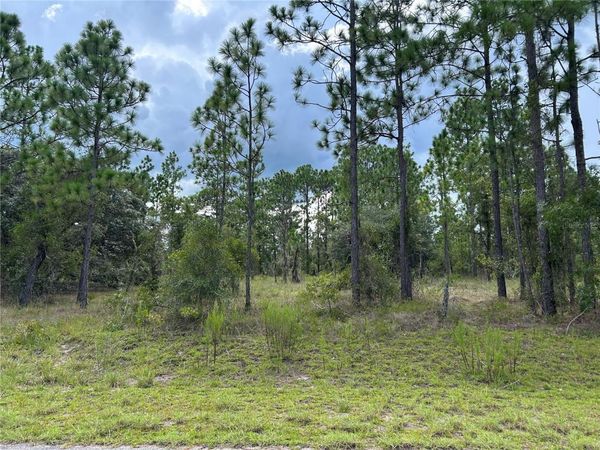 TB SE 138TH AVENUE , DUNNELLON, FL 34431
