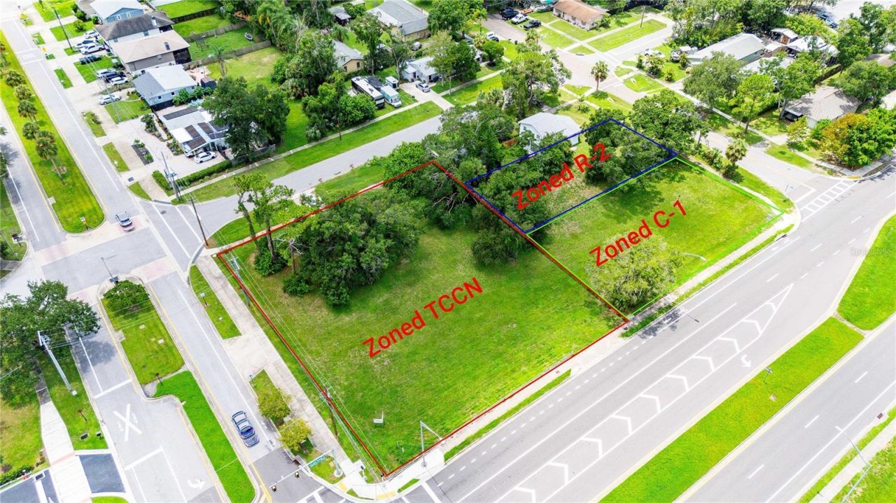 205 Chestnut Street, Oldsmar, FL 34677 Photo