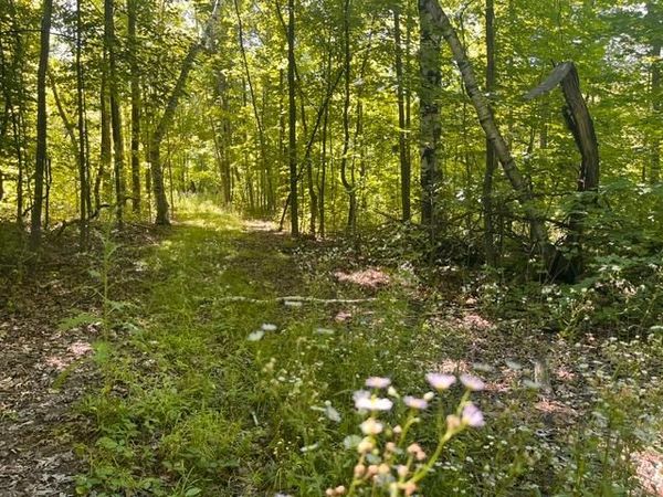 Lot 2 County Rd BB, Woodville, WI 54028