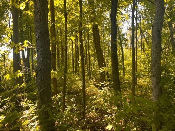 Lot 1 County Road BB, Woodville, WI 54028