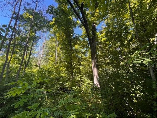 Lot 1 County Road BB, Woodville, WI 54028