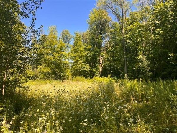 Lot 3 60th Avenue, Woodville, WI 54028