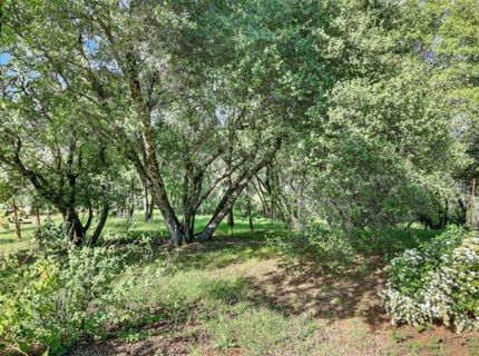 1760 Red Fox Rd, Placerville, CA 95667 Photo