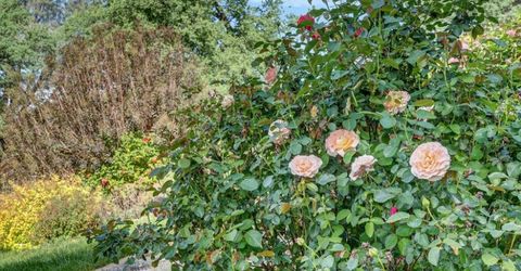 1760 Red Fox Rd, Placerville, CA 95667 Photo