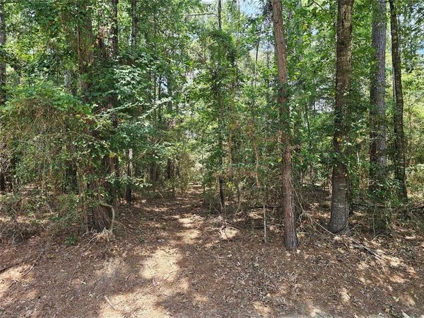 8222 Waterwood Drive , Greenwood, LA 71033