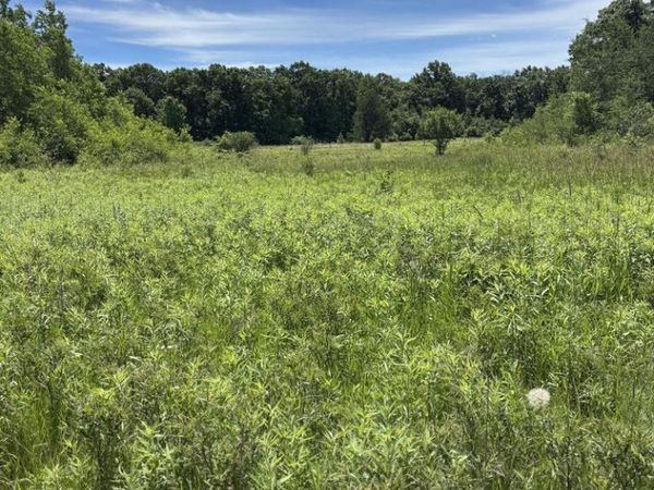 0 GRAPEVINE AVENUE, Tomah, WI 54660