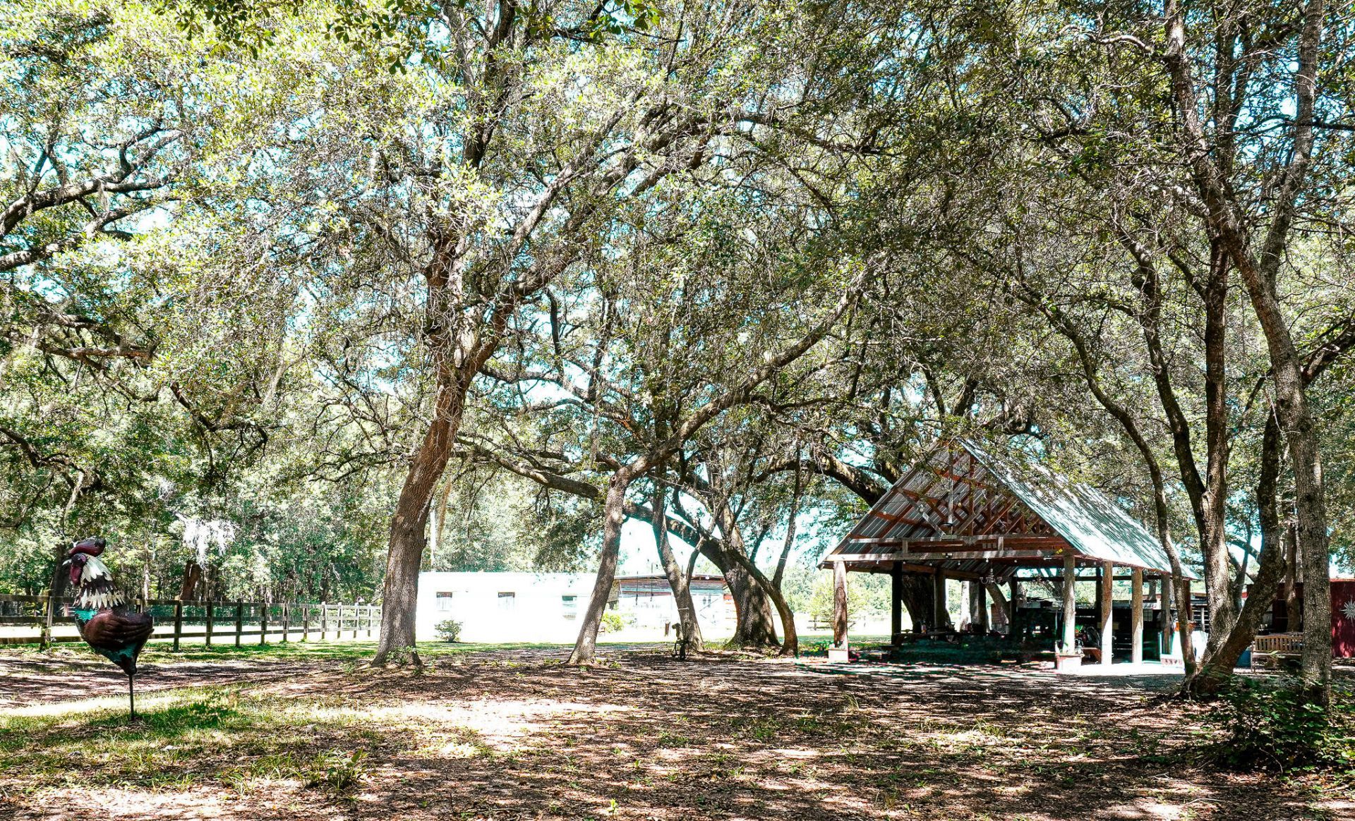 189 Indian Oaks Lane Photo 4