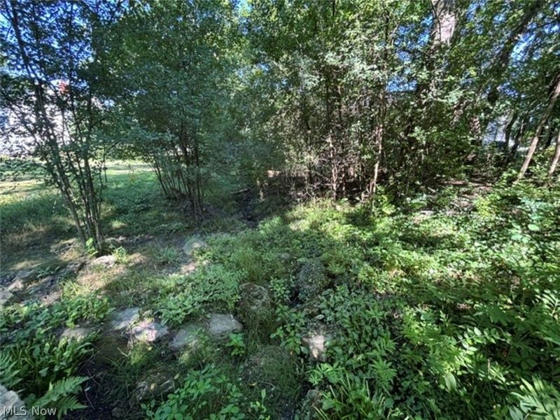 950 Merriman Road, Akron, OH 44303 Photo 30