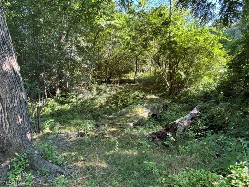 950 Merriman Road, Akron, OH 44303 Photo 31