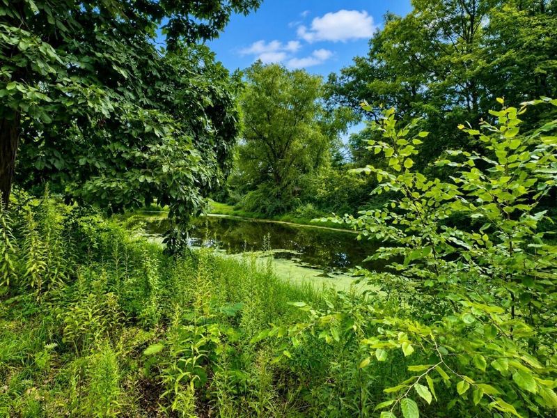 10585 Lithopolis Road NW, Canal Winchester, OH 43110 Photo 10