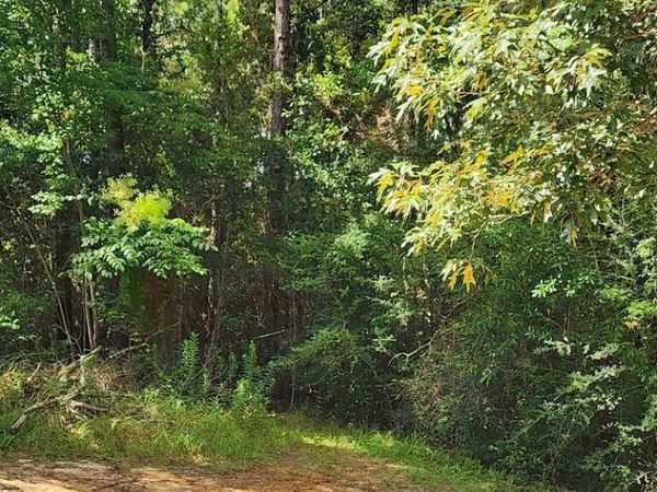 16509 Mcgregor Road, Vancleave, MS 39565