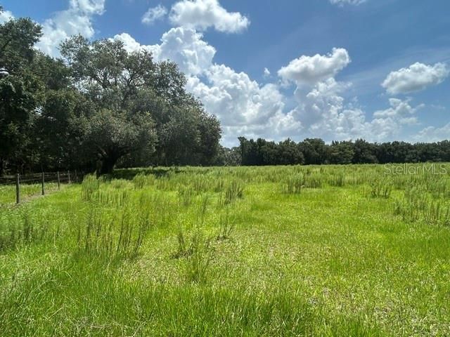 Se 34th Way, Sumterville, FL 33585 Photo