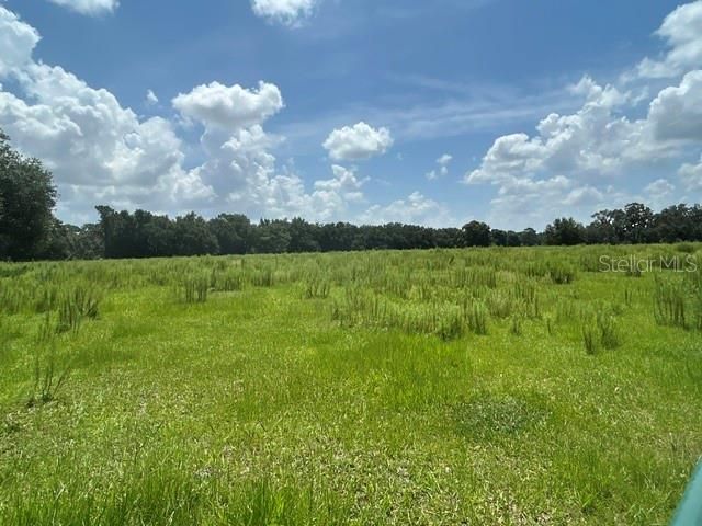 Se 34th Way, Sumterville, FL 33585 Photo