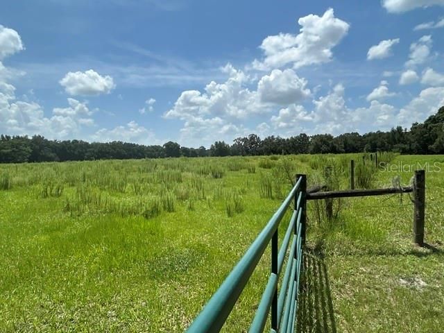 Se 34th Way, Sumterville, FL 33585 Photo