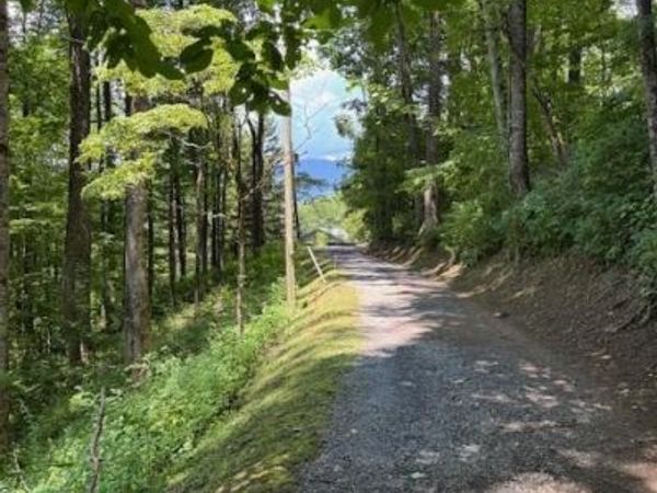 Lot 49 Rocky Ridge Road, Balsam, NC 28707