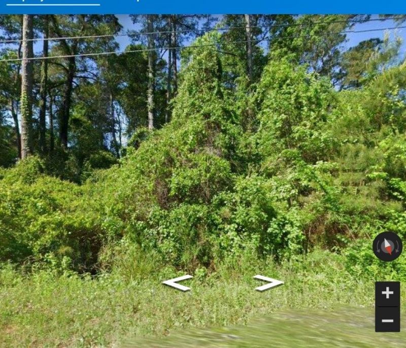 683 Waverly Rd. Photo 13