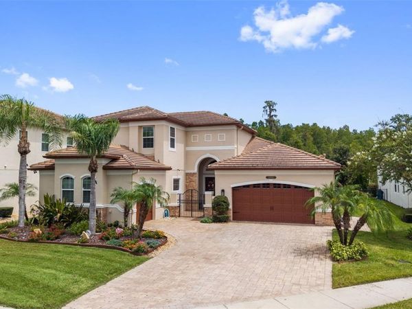 30581 IVY FORGE COURT, WESLEY CHAPEL, FL 33543