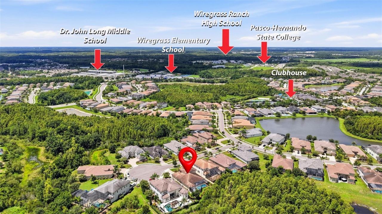 30581 Ivy Forge Court, Wesley Chapel, FL 33543 Photo