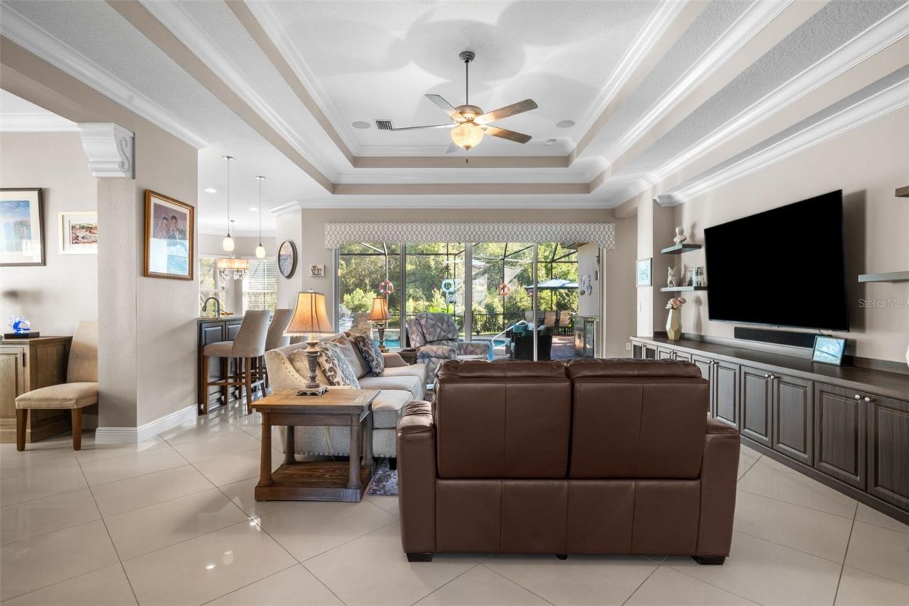 30581 Ivy Forge Court, Wesley Chapel, FL 33543 Photo