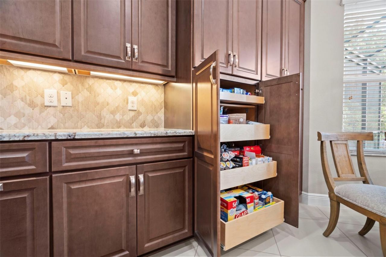 30581 Ivy Forge Court, Wesley Chapel, FL 33543 Photo
