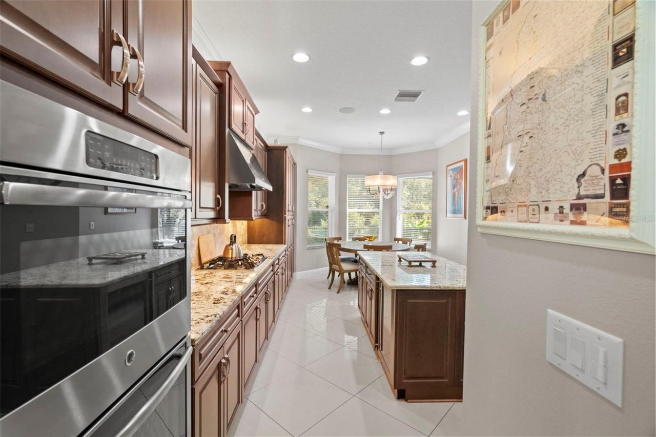 30581 Ivy Forge Court, Wesley Chapel, FL 33543 Photo