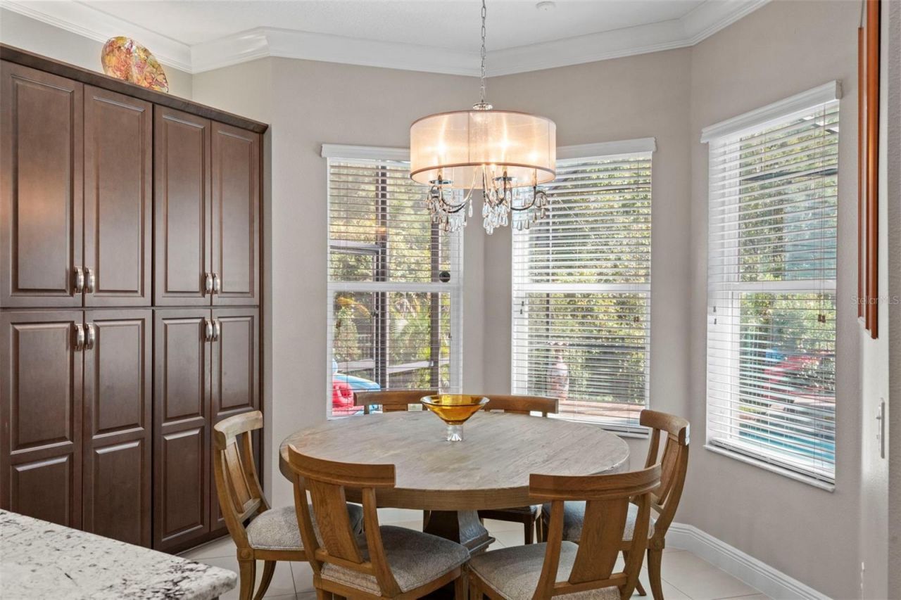 30581 Ivy Forge Court, Wesley Chapel, FL 33543 Photo