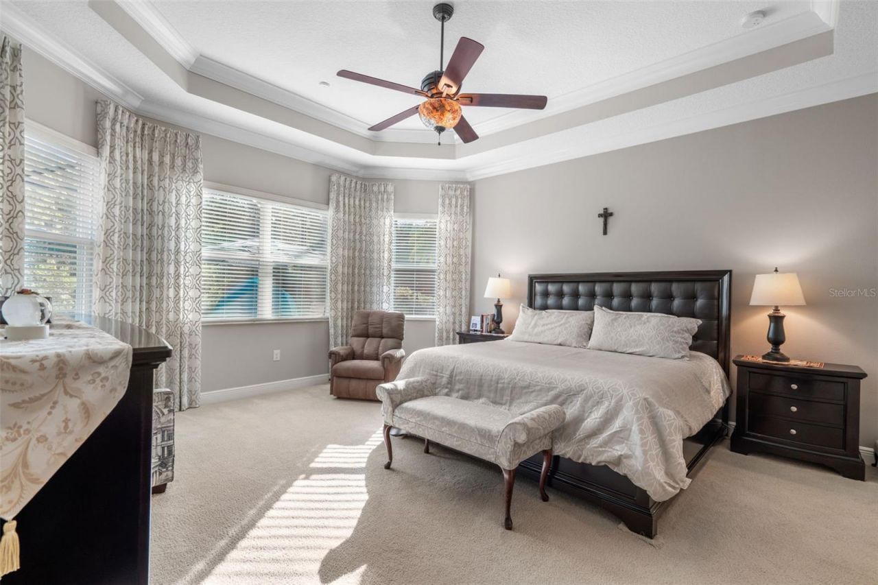 30581 Ivy Forge Court, Wesley Chapel, FL 33543 Photo