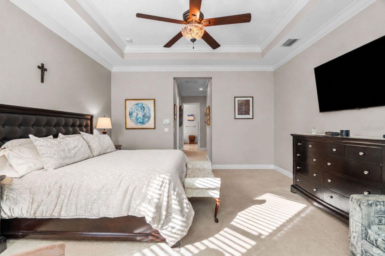 30581 Ivy Forge Court, Wesley Chapel, FL 33543 Photo