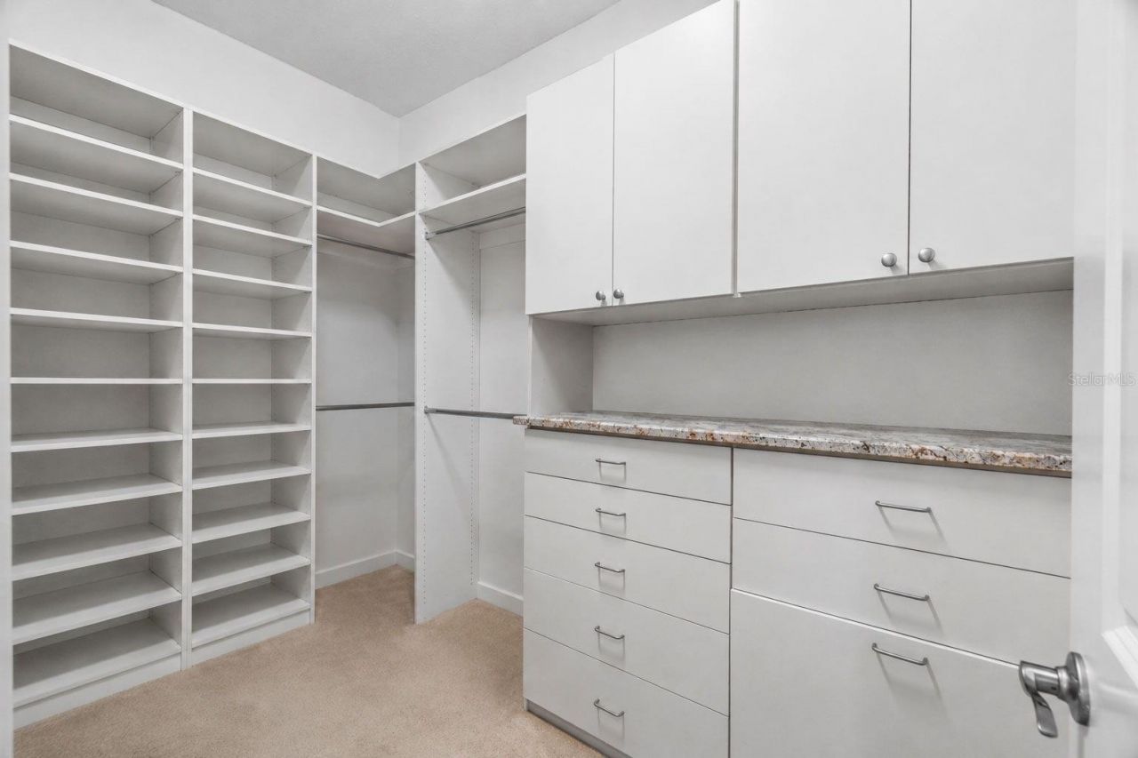 30581 Ivy Forge Court, Wesley Chapel, FL 33543 Photo
