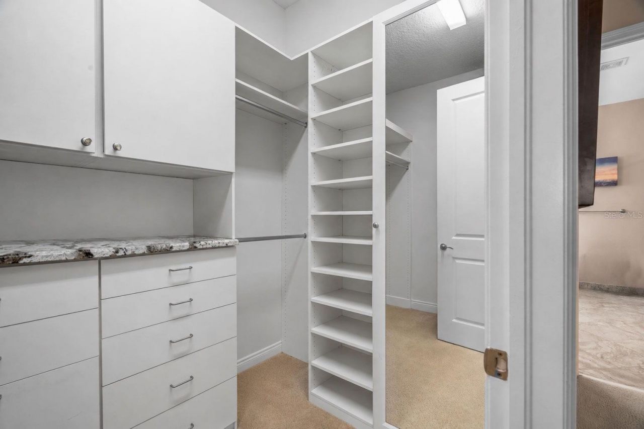 30581 Ivy Forge Court, Wesley Chapel, FL 33543 Photo
