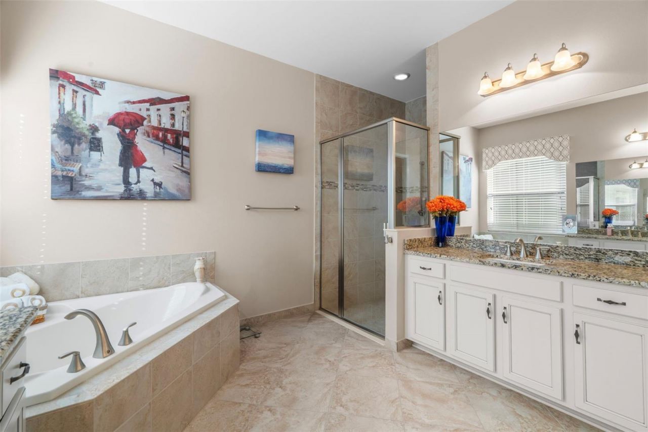 30581 Ivy Forge Court, Wesley Chapel, FL 33543 Photo
