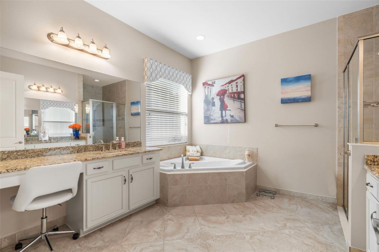 30581 Ivy Forge Court, Wesley Chapel, FL 33543 Photo