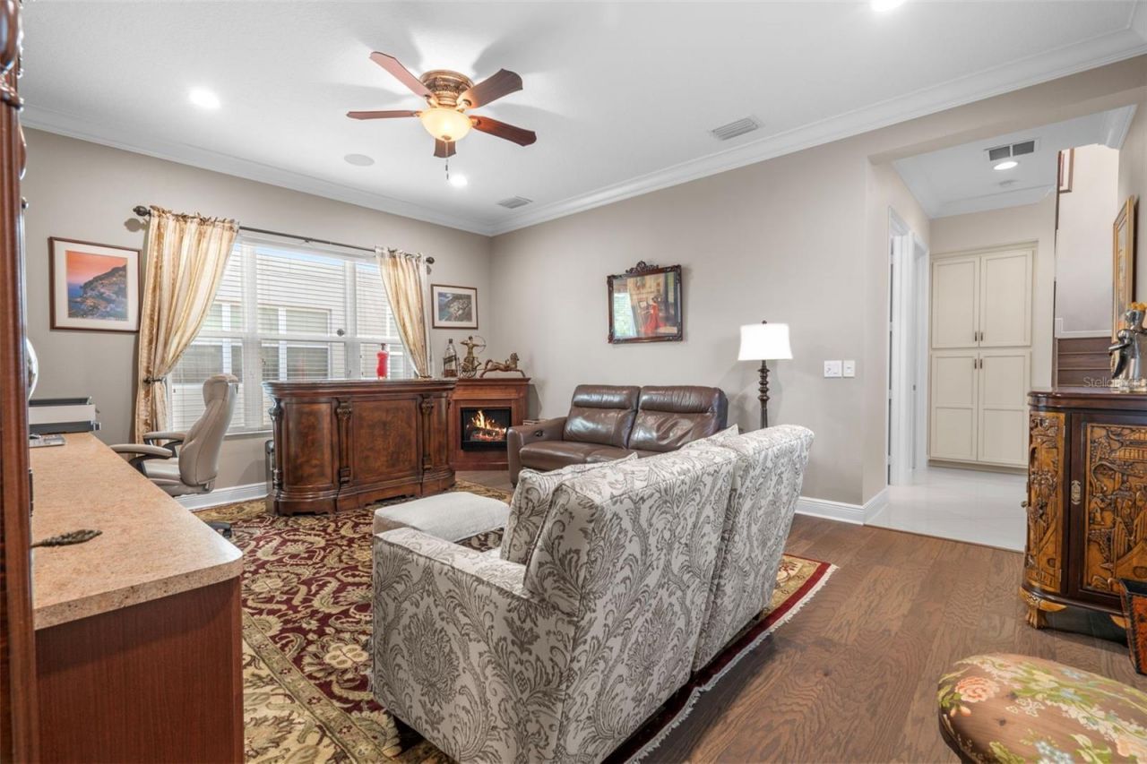 30581 Ivy Forge Court, Wesley Chapel, FL 33543 Photo